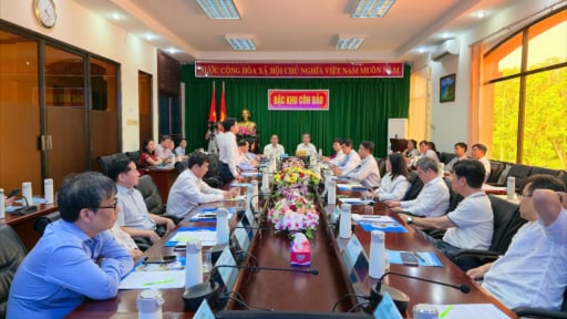 Nhiều bác sĩ giỏi từ trung tâm TP.HCM tình nguyện ra Côn Đảo chăm sóc sức khỏe người dân