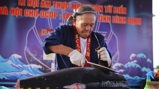 5.000 suất cá ngừ 'khổng lồ' miễn phí tại Lễ hội 'Đại ngàn - Biển xanh hội tụ' ở tỉnh Gia Lai
