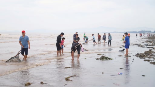 Lộc trời dạt vào đầy bãi biển sau bão số 5, dân Nghệ An đua nhau ra nhặt về nấu món ngon ai thử cũng mê