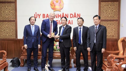 Loạt dự án 'khủng' nào của Gia Lai khiến CEO Hà Lan ấn tượng?