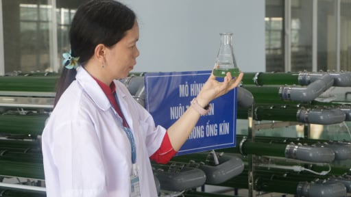 Phẩm chất của nữ trí thức là chìa khóa để thúc đẩy đổi mới sáng tạo trong nghiên cứu khoa học 