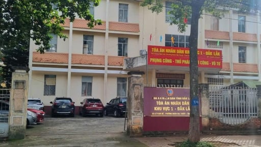 Cựu Phó Chánh án TAND khu vực 1 Đắk Lắk bị tạm giữ