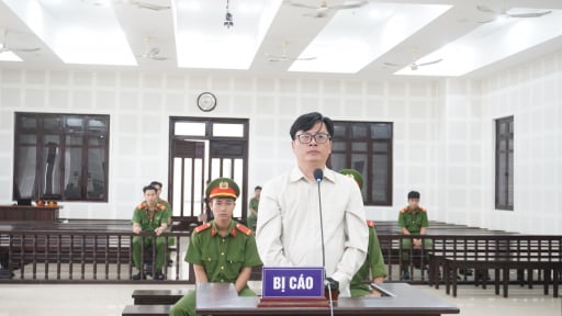 Tự ý bán đất 21 tỷ đồng, kê khai thuế 460 triệu đồng, bị cáo lĩnh án nặng