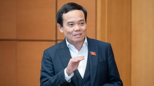 Ông Trần Lưu Quang chuyển sinh hoạt Đoàn ĐBQH từ Hải Phòng về TP.HCM