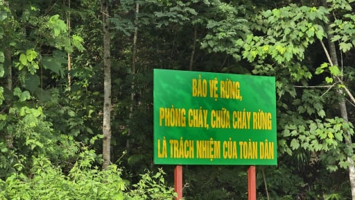 Nông thôn Tây Bắc: Điện Biên giữ màu xanh nơi biên cương Tổ quốc