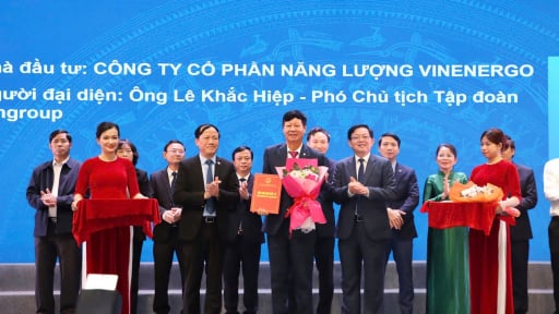 UBND tỉnh Gia Lai và VinEnergo ký kết hợp tác phát triển điện năng lượng tái tạo