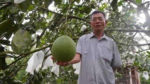 Mô hình chăn nuôi mới, trồng cây mới, khởi nghiệp nông nghiệp lan tỏa cách giảm nghèo ở nông thôn