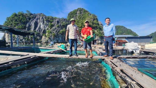 Nuôi biển công nghệ cao, nông dân, HTX, doanh nghiệp đang mong muốn điều gì?