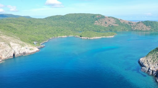 Vịnh biển rộng 132ha đẹp như phim ở Bà Rịa-Vũng Tàu, đi ca rô ra ngắm 'rừng nguyên sinh' mọc toàn loại cây lạ mắt