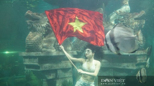 “Nàng tiên cá” Hà Nội mang cờ Tổ quốc biểu diễn dưới thủy cung, gửi thông điệp trước thềm Quốc khánh 2/9