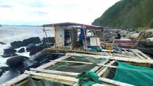 Tan hoang một vùng nuôi thủy sản tiền tỷ ở vịnh Hòn La, tỉnh Quảng Trị