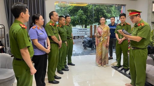 Góc nhìn pháp lý vụ 'trùm giang hồ' Vi 'ngộ’ cùng vợ bị khởi tố tội Trốn thuế