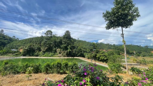 Những lưu ý quan trọng khi nộp hồ sơ đất đai trực tuyến