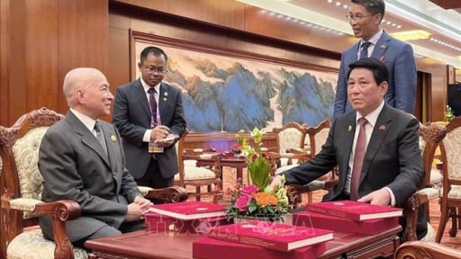 Chủ tịch nước Lương Cường: Những thành tựu Việt Nam đạt được có sự ủng hộ của các nước bạn bè, anh em