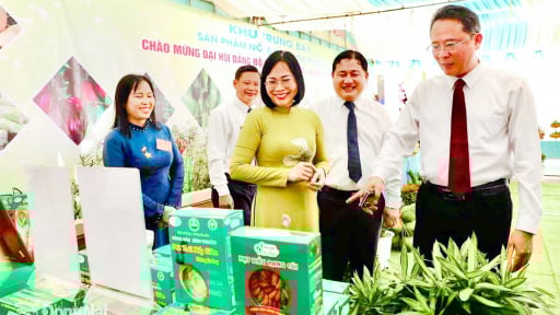 Tỉnh Đồng Nai mới, sau sáp nhập Bình Phước có quỹ đất nông nghiệp lớn, top đầu cả nước về một lĩnh vực quan trọng