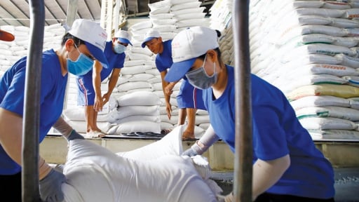 Cà phê, gạo.. được giá, xuất khẩu nông sản của Việt Nam tự tin đạt trên 65 tỷ USD năm 2025