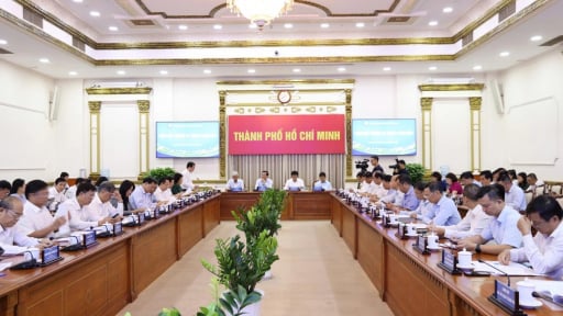 TP.HCM kiểm tra, điều tra, khảo sát tình hình thi hành pháp luật năm 2025  