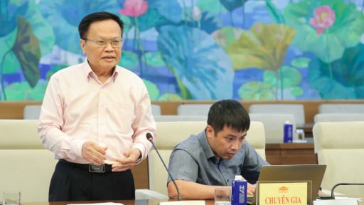 'Lời khuyên đặc biệt' của TS. Nguyễn Đình Cung về nới lỏng tiền tệ, tài khóa