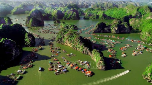 Núi cao, rừng rậm giữa biển khơi, có động vật hoang dã, có hang động đẹp mê li, đây đích thị là một 'vườn' ở Hải Phòng