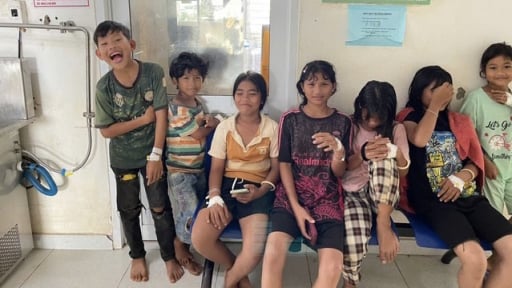 9 học sinh ở Gia Lai ngộ độc sau ăn thịt cóc