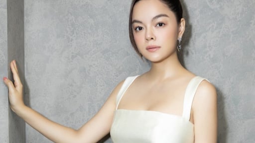 Phạm Quỳnh Anh: 'Tôi đã chịu những tổn thương từ phía gia đình Bảo Anh'