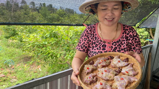 Tối trời đi săn bắt con động vật hoang dã quái ác gì ở An Giang mà sáng ra thấy dân đếm tiền?