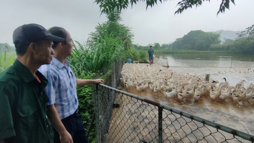 S&aacute;p nhập th&ocirc;n, tổ d&acirc;n phố: Người ngo&agrave;i độ tuổi lao động c&oacute; được bầu l&agrave;m Trưởng th&ocirc;n?