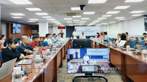 Đầu tư nước ngo&agrave;i v&agrave;o TP.HCM tăng mạnh, đạt gần 62% kế hoạch cả năm 