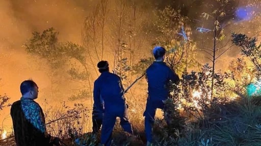 Thủ tướng Ch&iacute;nh phủ c&oacute; c&ocirc;ng điện về ph&ograve;ng ch&aacute;y, chữa ch&aacute;y rừng sau vụ ch&aacute;y rừng rất lớn ở Nghệ An 