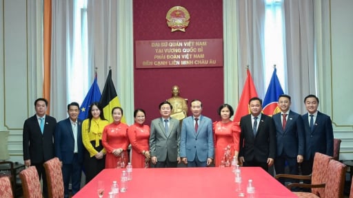 Loạt dự &aacute;n tỷ USD của De Heus - H&ugrave;ng Nhơn đưa T&acirc;y Ninh trở th&agrave;nh trung t&acirc;m chăn nu&ocirc;i của khu vực