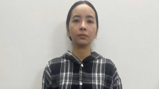 Giả nh&acirc;n vi&ecirc;n ng&acirc;n h&agrave;ng, c&ocirc; g&aacute;i 25 tuổi ở Gia Lai g&acirc;y ra 10 vụ lừa vay tiền qua app, chiếm đoạt h&agrave;ng trăm triệu đồng