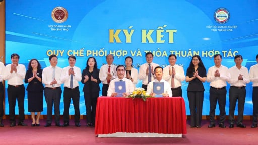 Ph&uacute; Thọ v&agrave; Thanh H&oacute;a tăng cường li&ecirc;n kết doanh nghiệp, n&acirc;ng cao năng lực cạnh tranh hướng tới ph&aacute;t triển bền vững