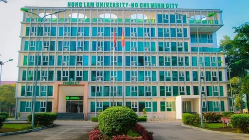 Trường Đại học N&ocirc;ng L&acirc;m TP.HCM c&ocirc;ng bố điểm s&agrave;n năm 2026: C&oacute; 2 mức điểm cho c&aacute;c phương thức