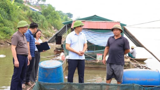     Nước s&ocirc;ng Đ&agrave; hạ thấp bất thường khiến hơn 73 tấn c&aacute; chết, x&atilde; Thanh Thủy, Ph&uacute; Thọ khẩn trương hỗ trợ người nu&ocirc;i