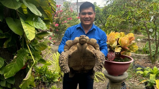 Một thanh ni&ecirc;n Long An, nay l&agrave; tỉnh T&acirc;y Ninh nh&acirc;n giống r&ugrave;a cạn ch&acirc;u Phi th&agrave;nh c&ocirc;ng, c&oacute; con b&aacute;n hơn 40 triệu đồng 