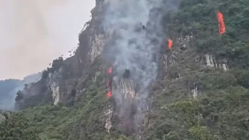 S&eacute;t đ&aacute;nh g&acirc;y ch&aacute;y rừng ph&ograve;ng hộ n&uacute;i Cao San tại tỉnh Ninh B&igrave;nh