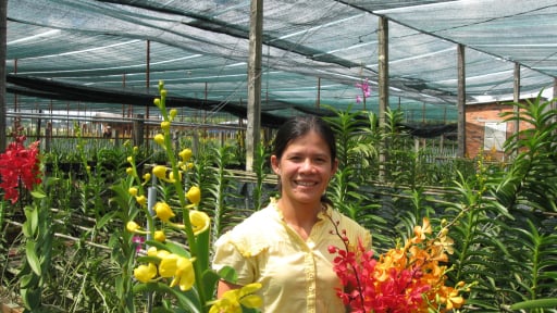 Nửa thế kỷ TP.HCM cởi chiếc &aacute;o n&ocirc;ng nghiệp truyền thống, vươn l&ecirc;n bằng dịch vụ v&agrave; c&ocirc;ng nghệ cao