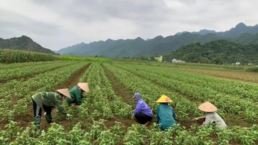 Ph&uacute; Thọ: Khoa học c&ocirc;ng nghệ v&agrave; chuyển đổi số n&acirc;ng tầm kinh tế tư nh&acirc;n