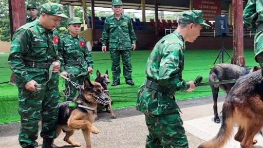 Bộ đội Bi&ecirc;n ph&ograve;ng cử 10 qu&acirc;n nh&acirc;n v&agrave; 8 ch&oacute; nghiệp vụ sang Venezuela hỗ trợ khắc phục hậu quả động đất