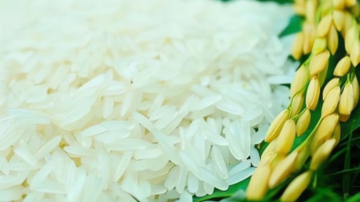 B&agrave;i dự thi 'Kể c&acirc;u chuyện Việt Nam': Hạt gạo kể chuyện Đất nước- Khi vị mặn mồ h&ocirc;i h&oacute;a linh hồn xứ sở