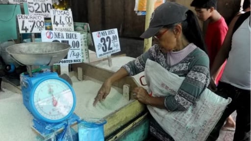 Cường quốc nhập khẩu gạo lớn nhất thế giới sẽ mua mấy triệu tấn năm 2026, gạo xuất khẩu Việt Nam th&ecirc;m rộng cửa?