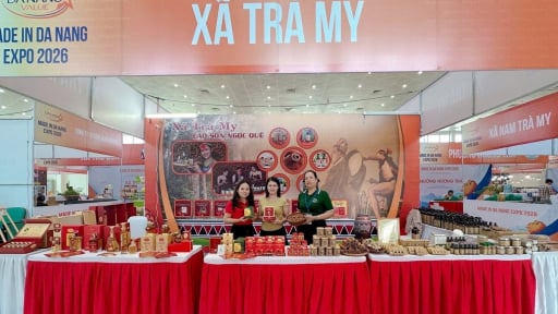 Chế biến s&acirc;u, chuyển đổi số mở đường cho Đ&agrave; Nẵng n&acirc;ng tầm thương hiệu quế Tr&agrave; My