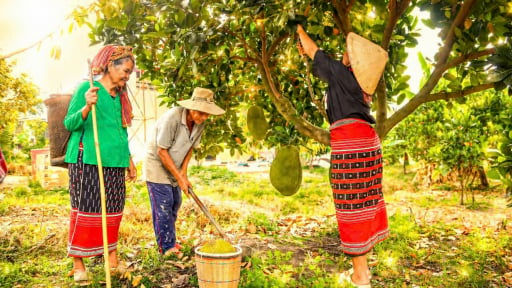 N&ocirc;ng d&acirc;n Đồng Nai thời đại số: Những n&ocirc;ng d&acirc;n l&agrave;m kinh tế, giỏi c&ocirc;ng nghệ v&agrave; gi&agrave;u nghĩa t&igrave;nh (B&agrave;i 2)