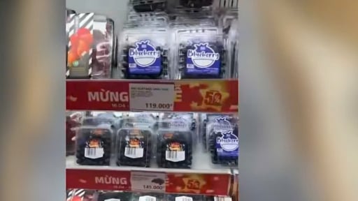 Dựng v&ugrave;ng trồng giả ở Sơn La, đường d&acirc;y nhập lậu gần 19 tấn việt quất qua mặt si&ecirc;u thị