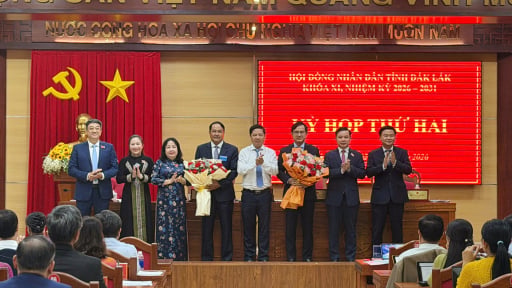 Ph&oacute; Trưởng ban Tổ chức Tỉnh ủy Đắk Lắk được bầu giữ chức Ph&oacute; Chủ tịch UBND tỉnh