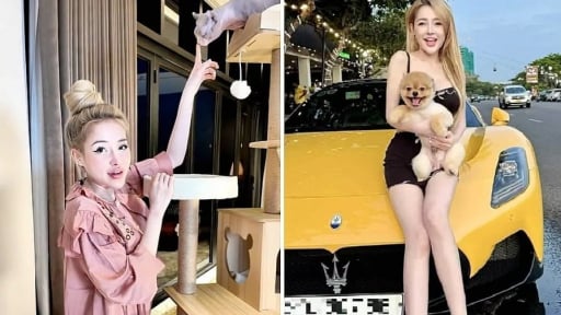Tin showbiz 24h: Em g&aacute;i Ng&acirc;n 98 tiết lộ t&igrave;nh h&igrave;nh hiện tại của chị, Tăng Thanh H&agrave; n&oacute;i về 7 th&aacute;ng sống trong lo &acirc;u