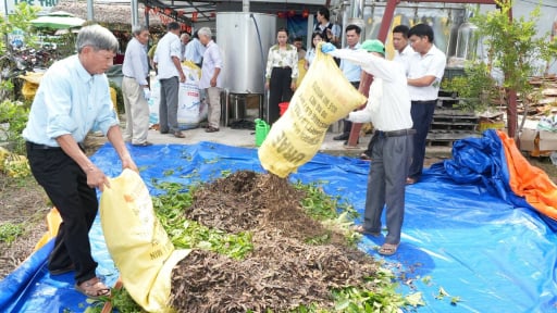 Từ phế phẩm g&acirc;y &ocirc; nhiễm, b&atilde; tr&agrave;m ở Huế được &ldquo;h&ocirc; biến&rdquo; th&agrave;nh ph&acirc;n hữu cơ