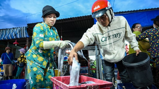 Rộn r&atilde; đ&oacute;n 'lộc biển' ở bến c&aacute; Vĩnh Trường Nha Trang l&uacute;c rạng s&aacute;ng