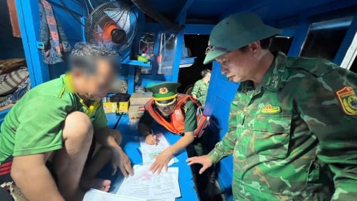 Trước đợt kiểm tra của EC, Đ&agrave; Nẵng siết chống khai th&aacute;c IUU, quy tr&aacute;ch nhiệm người đứng đầu