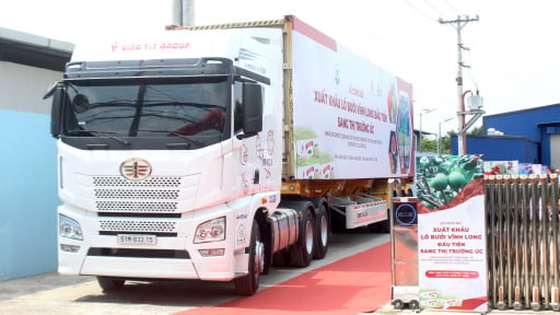 Chi ph&iacute; logistics cho xuất khẩu n&ocirc;ng sản tăng sốc, c&oacute; doanh nghiệp phải chi 22 tỷ đồng/th&aacute;ng